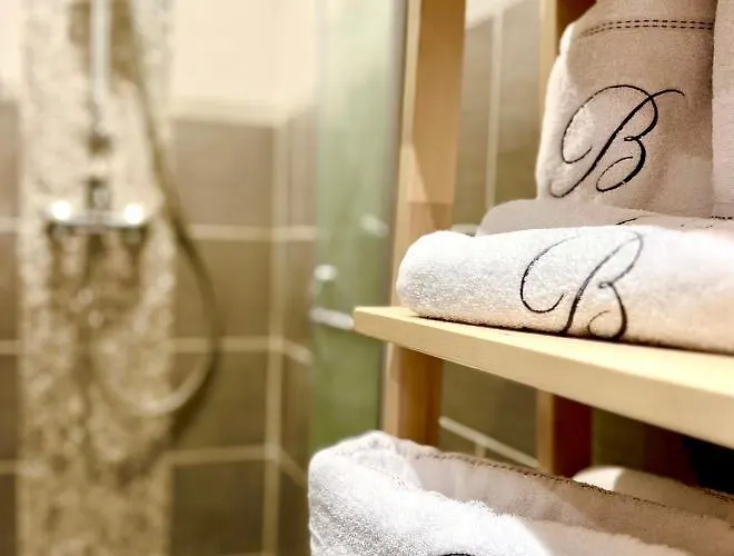 T2 Hyper Centre 3 Etoiles Rue Des Bains Daire