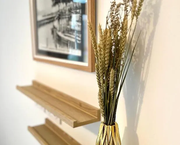 T2 Hyper Centre 3 Etoiles Rue Des Bains